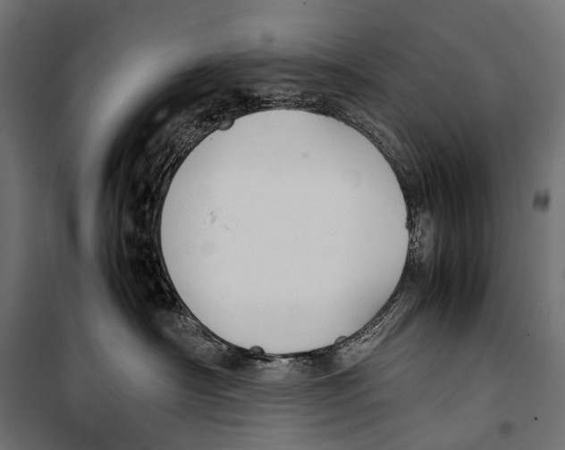 X0000099940430200806201125
