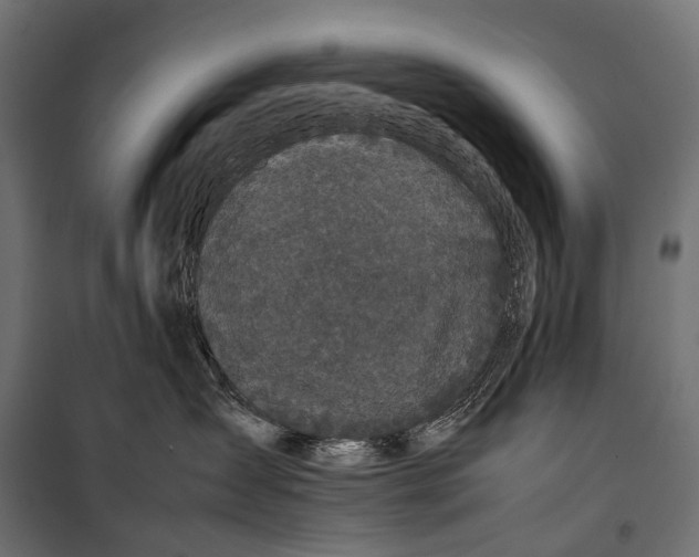 X0000099940431200806201125
