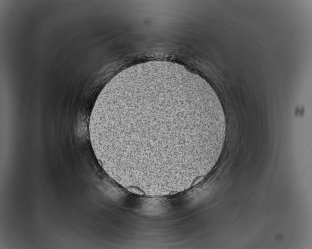 X0000099940432200806201125