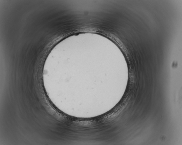 X0000099940433200806201124