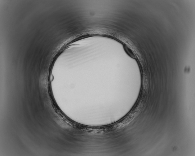 X0000099940434200806201124