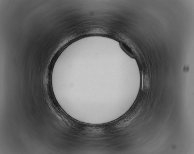 X0000099940435200806201124