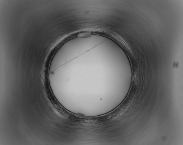 X0000099940436200806201124
