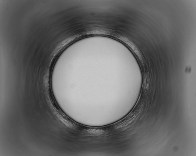 X0000099940437200806201124