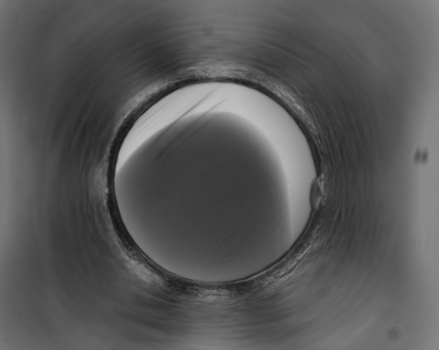 X0000099940438200806201124