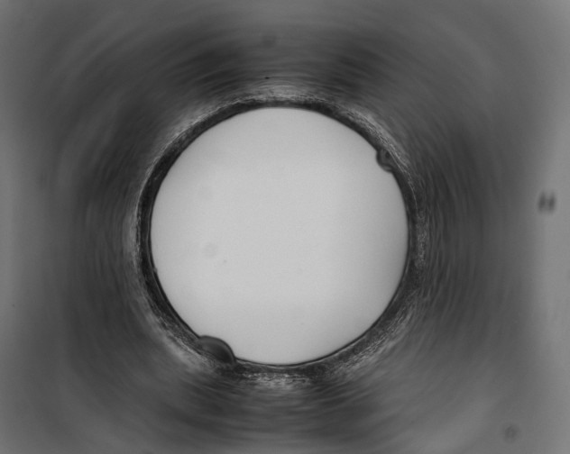 X0000099940439200806201124