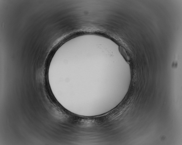 X0000099940440200806201124