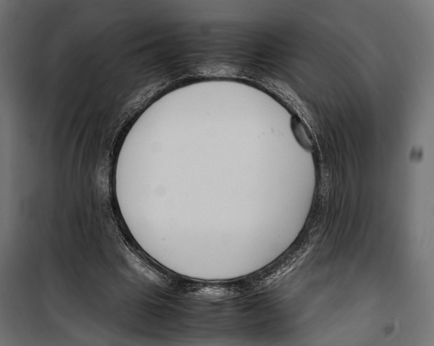X0000099940441200806201124