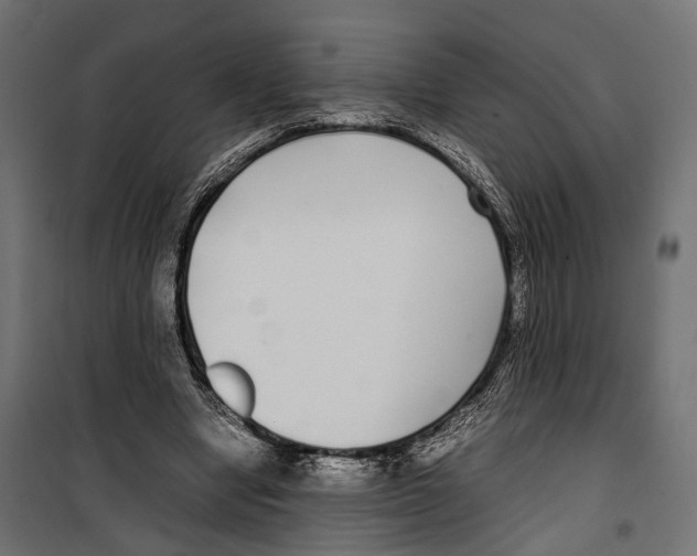 X0000099940442200806201124