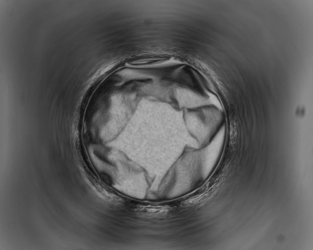 X0000099940443200806201124