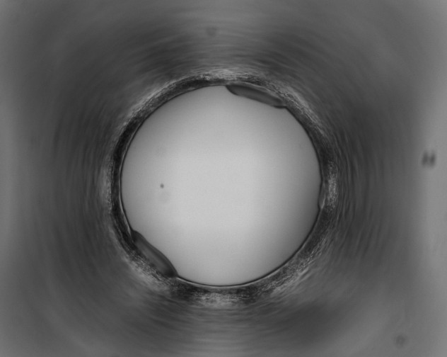 X0000099940444200806201124