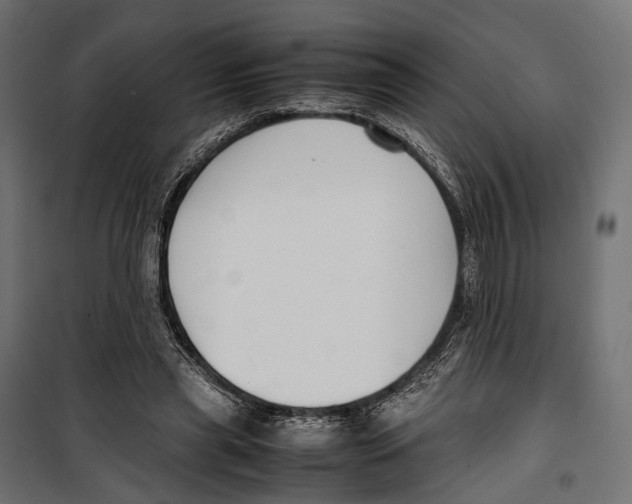 X0000099940445200806201124