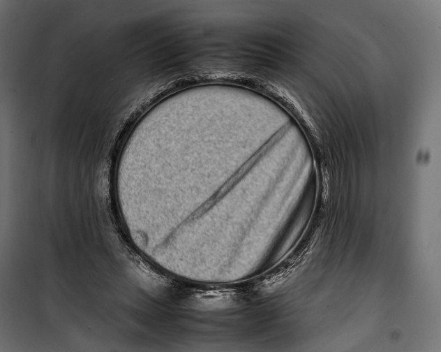X0000099940447200806201124