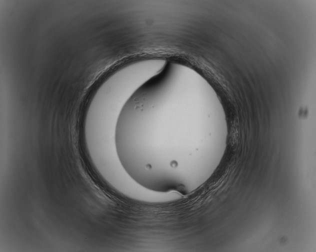 X0000099940448200806201124