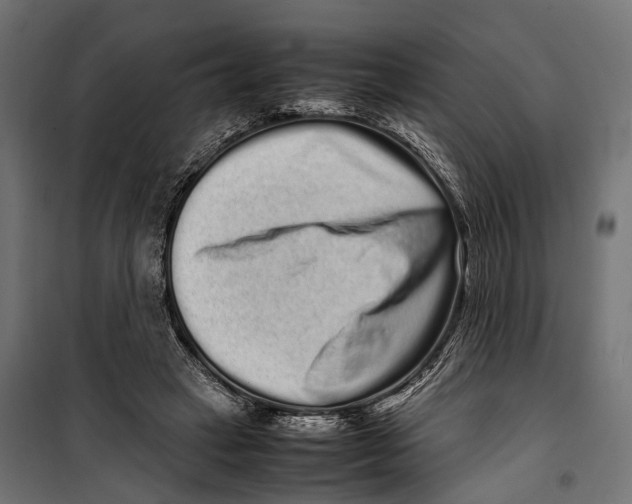X0000099940449200806201124