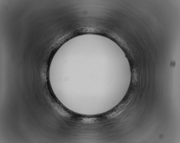 X0000099940450200806201124