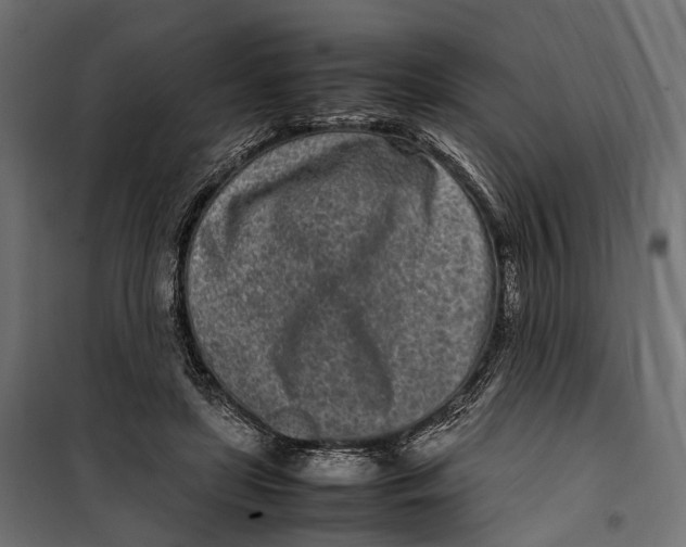 X0000099940451200806201124
