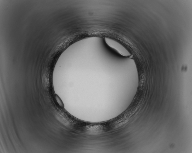 X0000099940452200806201124