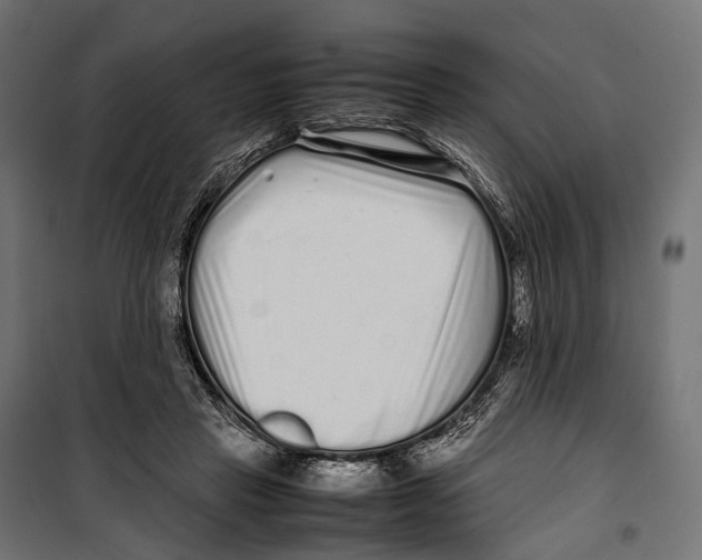 X0000099940453200806201124