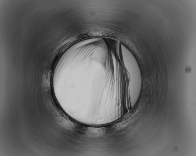 X0000099940454200806201124