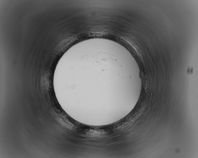 X0000099940455200806201124