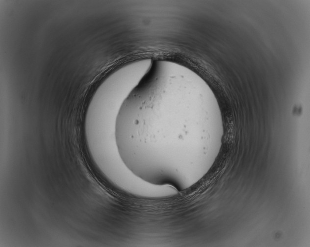 X0000099940456200806201124