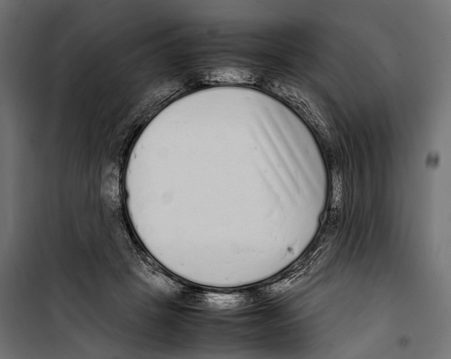 X0000099940457200806201124