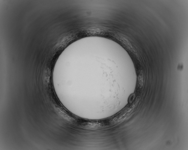 X0000099940458200806201124