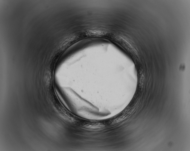 X0000099940459200806201124