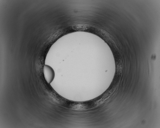 X0000099940460200806201125