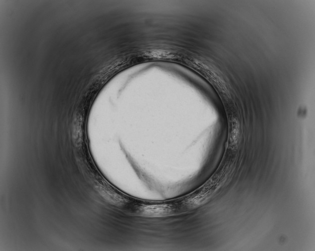 X0000099940461200806201125
