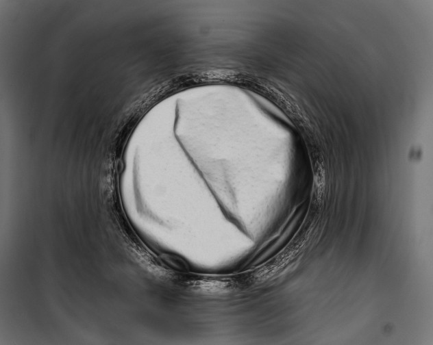 X0000099940462200806201125