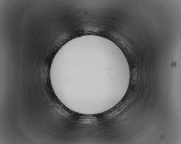 X0000099940463200806201125
