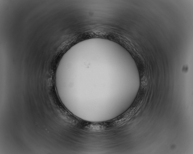 X0000099940464200806201125
