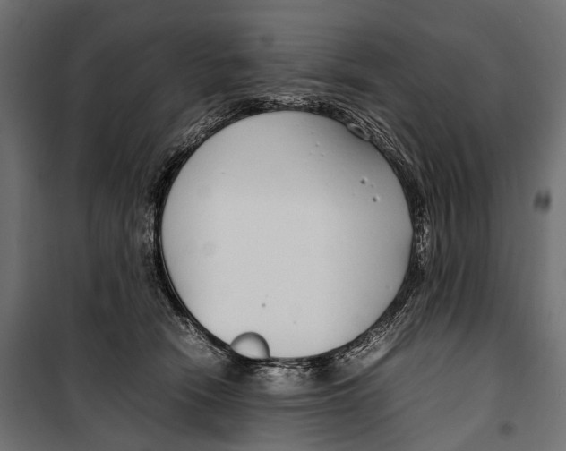 X0000099940466200806201125