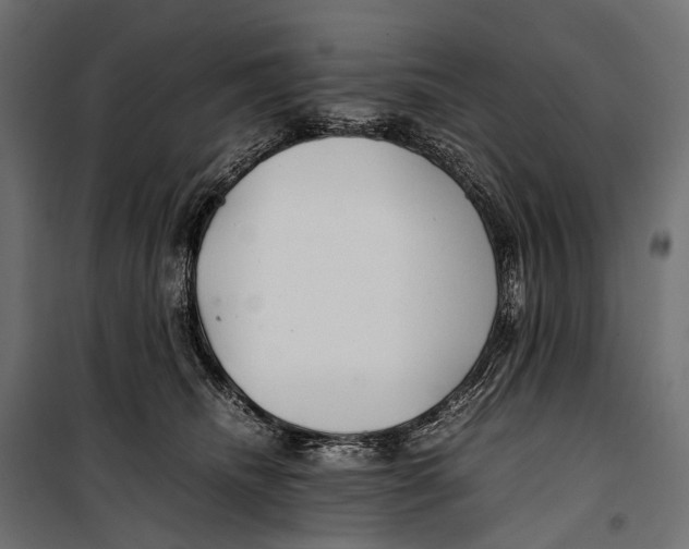 X0000099940468200806201125