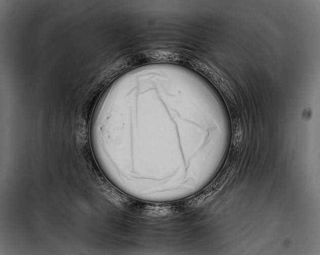 X0000099940469200806201125