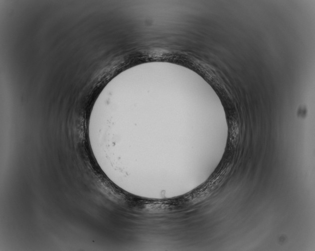 X0000099940470200806201125