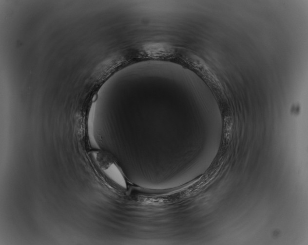 X0000099940471200806201125