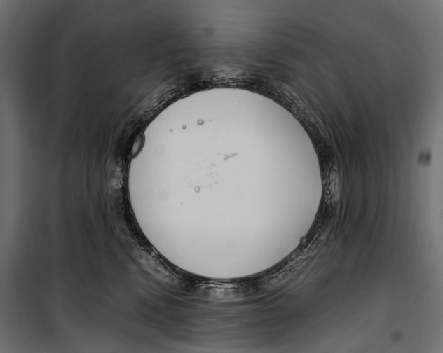 X0000099940472200806201125