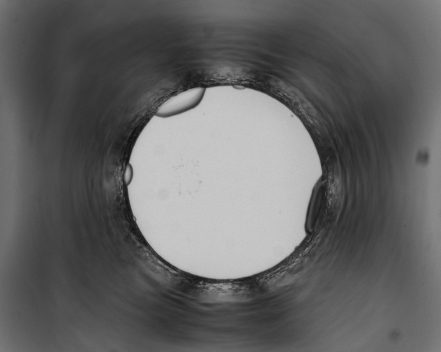 X0000099940473200806201125