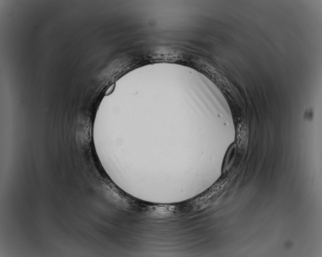 X0000099940474200806201125