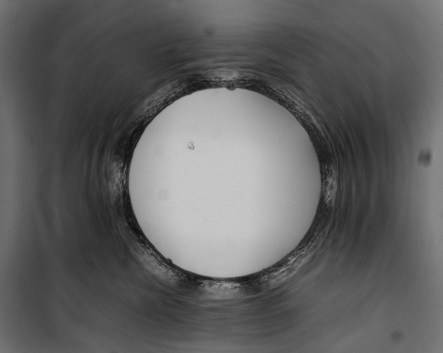 X0000099940476200806201125
