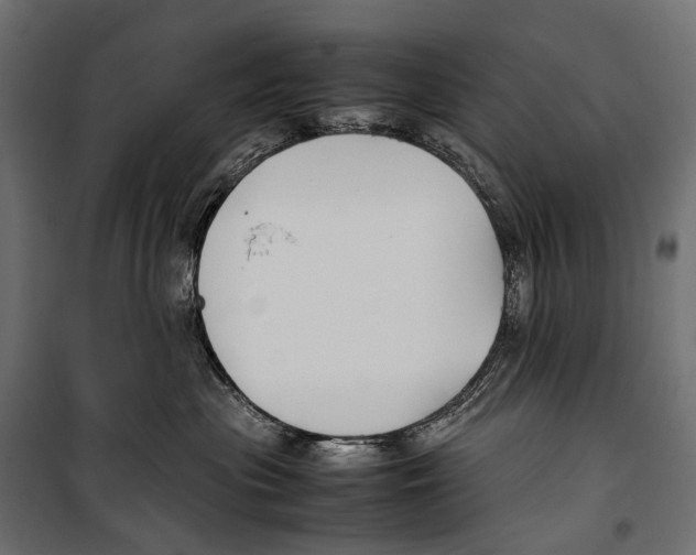 X0000099940477200806201125