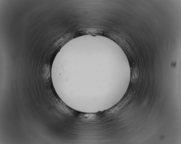 X0000099940478200806201125