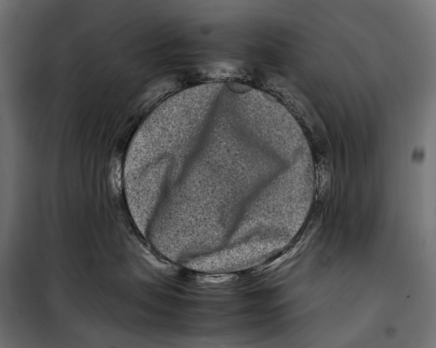 X0000099940479200806201125