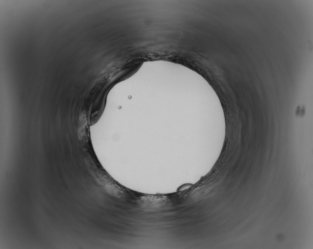 X0000099940480200806201125
