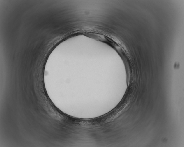 X0000099940481200806201124