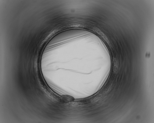 X0000099940482200806201124