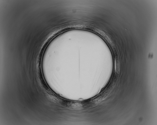 X0000099940483200806201124